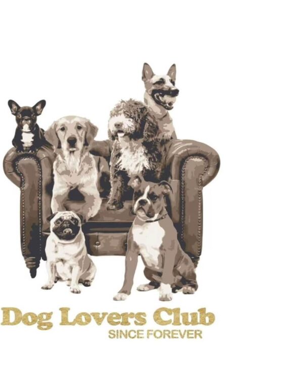 Camiseta pet friendly